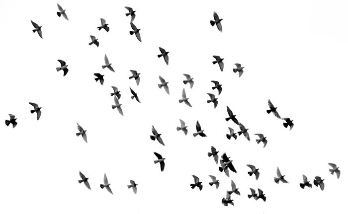 a27d24_2c45765d436e4274b6be4a4eee9fc74c~mv2_d_2548_1569_s_2